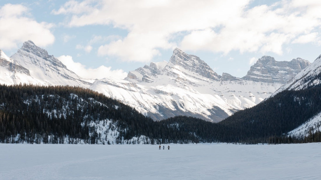 A snowy mountain landscape in Banff National Park